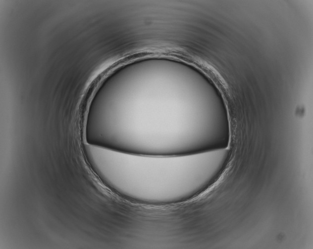 X0000098031114200803280724