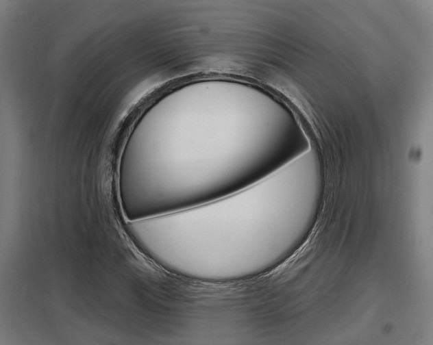 X0000098031115200803280724