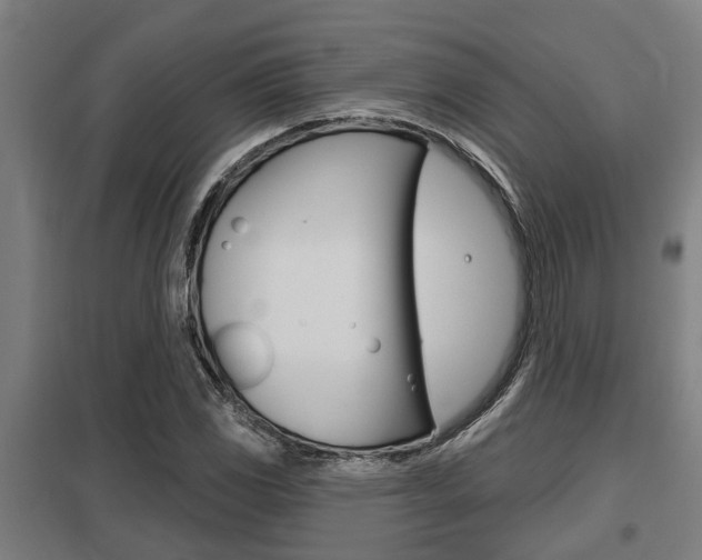 X0000098031117200803280724