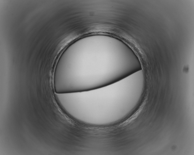 X0000098031121200803280724