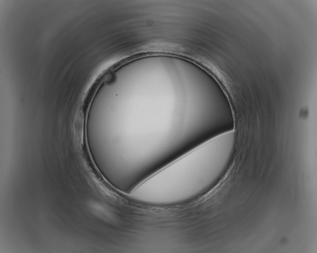 X0000098031123200803280724