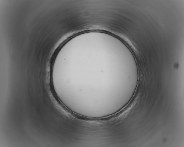 X0000098031126200803280724