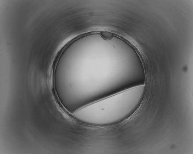 X0000098031127200803280724