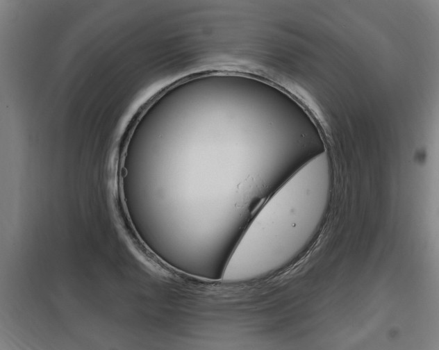 X0000098031128200803280724