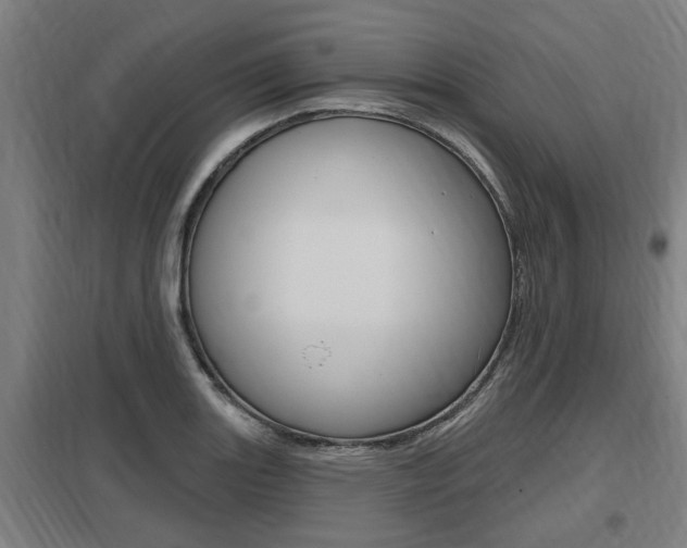 X0000098031131200803280724