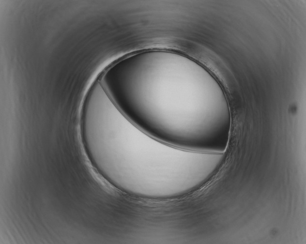 X0000098031132200803280724