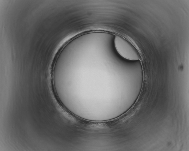 X0000098031133200803280724