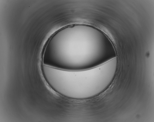 X0000098031136200803280724