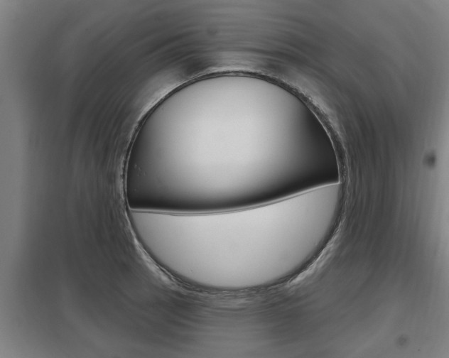X0000098031137200803280724