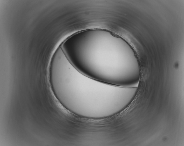 X0000098031140200803280725