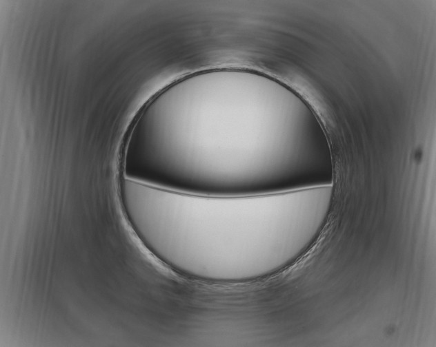 X0000098031142200803280725