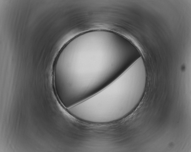X0000098031143200803280725