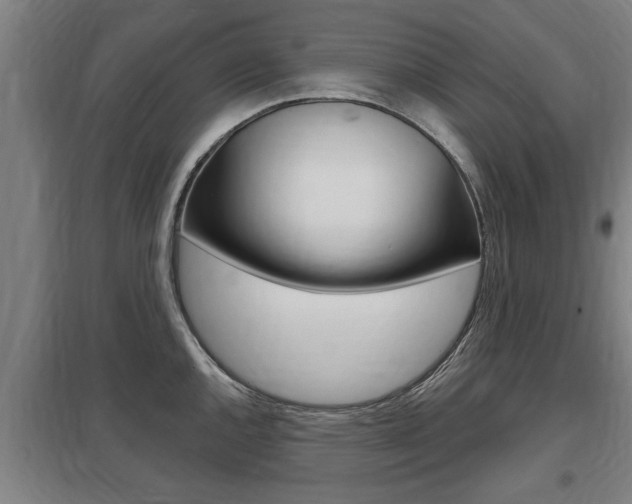 X0000098031144200803280725