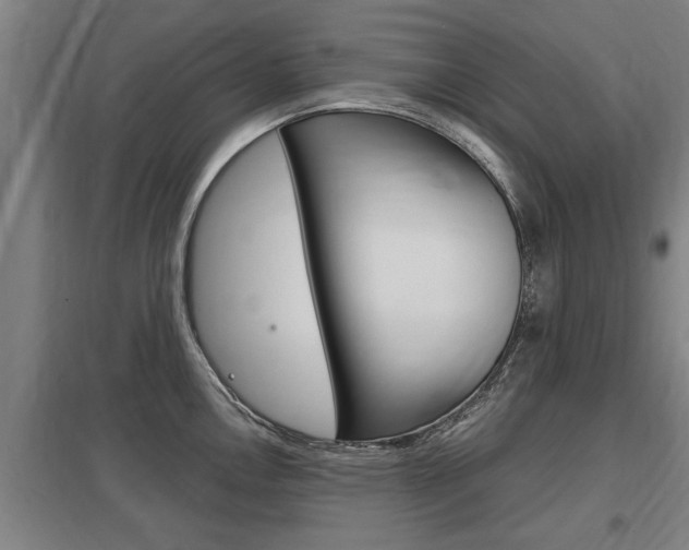 X0000098031146200803280725