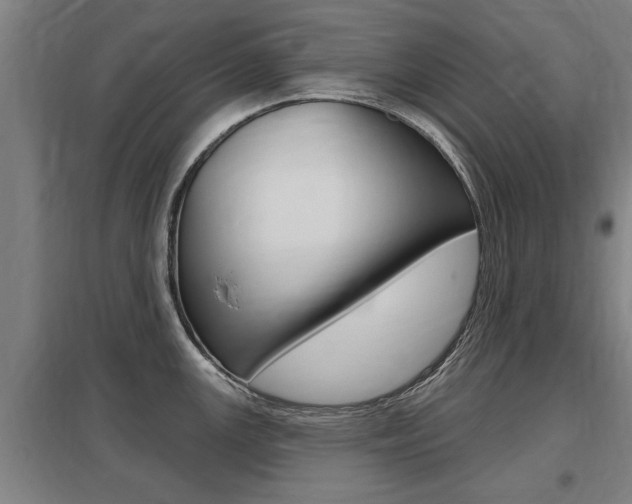 X0000098031147200803280725