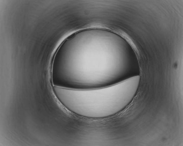 X0000098031148200803280725