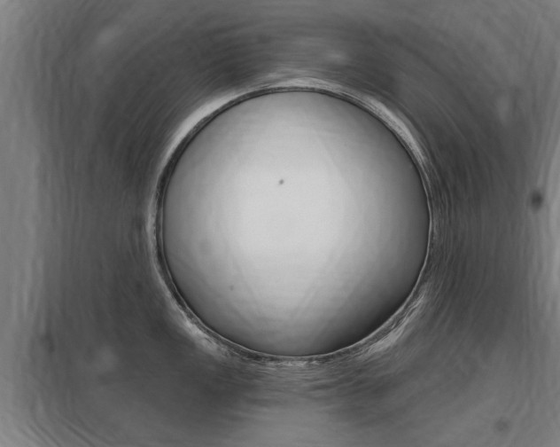 X0000098031149200803280725