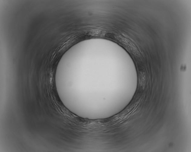 X0000098031154200803280724