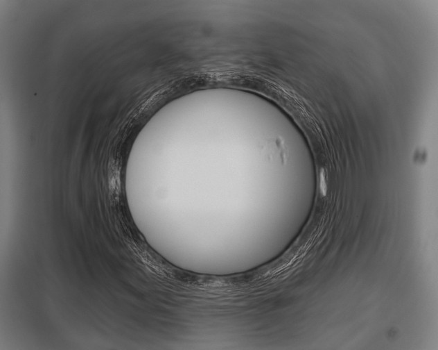 X0000098031155200803280724