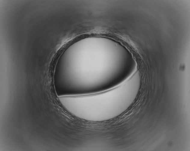X0000098031160200803280724