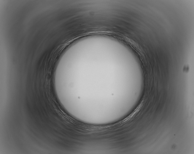 X0000098031161200803280724