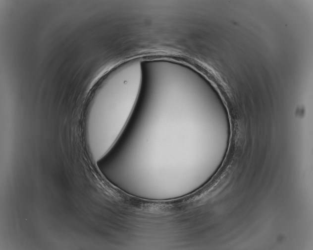 X0000098031163200803280724
