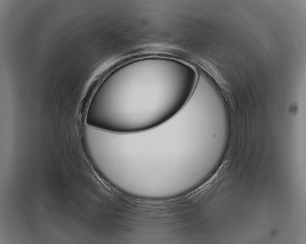 X0000098031164200803280724