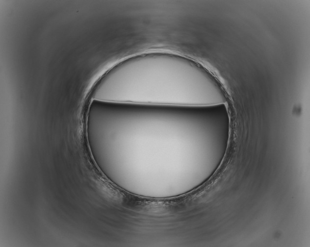 X0000098031167200803280724