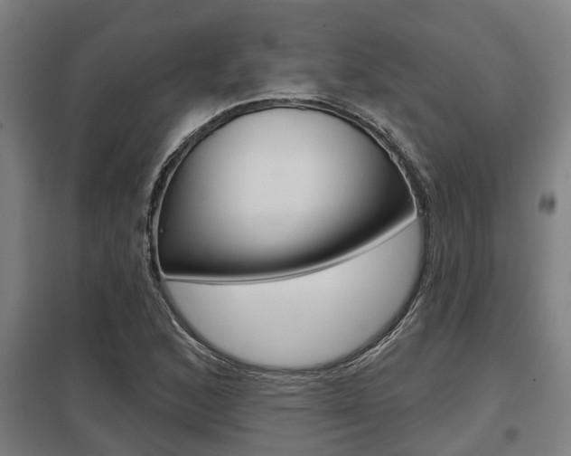 X0000098031168200803280724