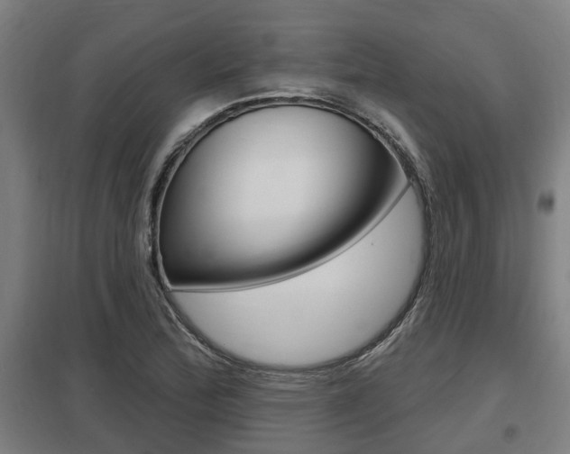 X0000098031172200803280724