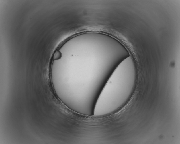 X0000098031174200803280724