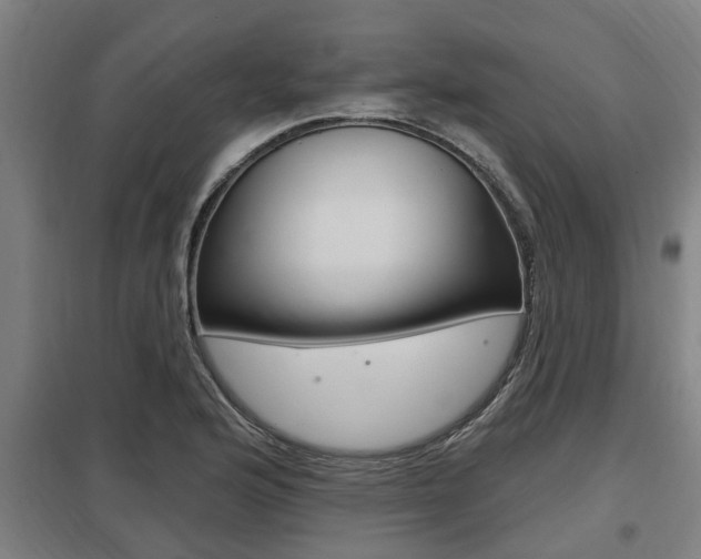X0000098031176200803280724