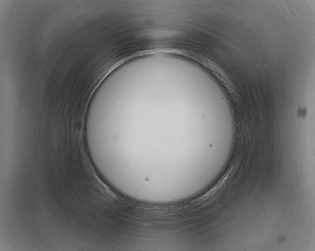 X0000098031177200803280724