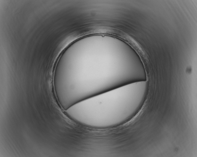 X0000098031178200803280724