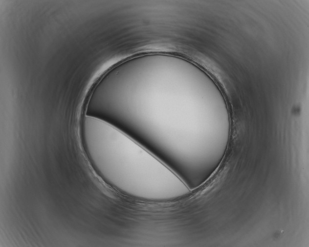 X0000098031179200803280724