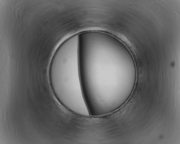 X0000098031181200803280724