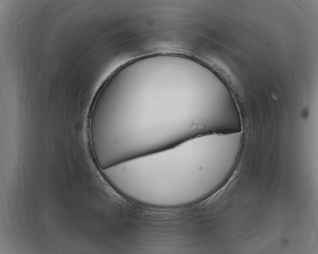 X0000098031182200803280724