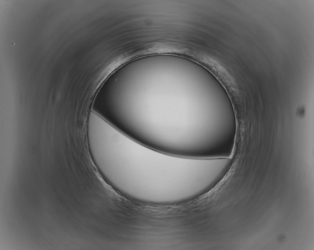 X0000098031185200803280723