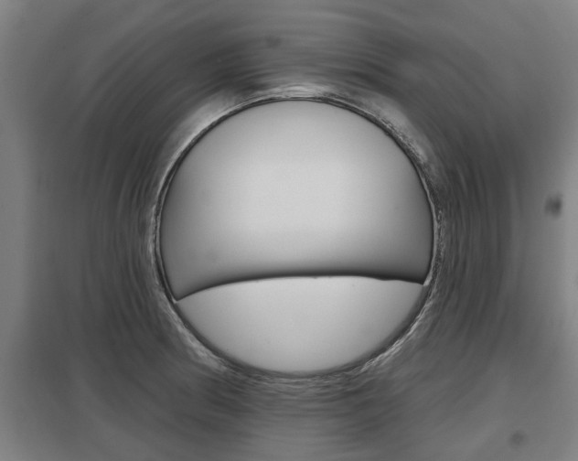 X0000098031186200803280723