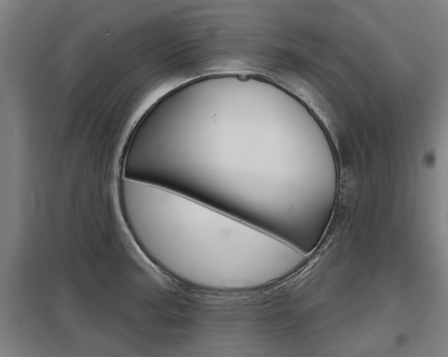 X0000098031187200803280723