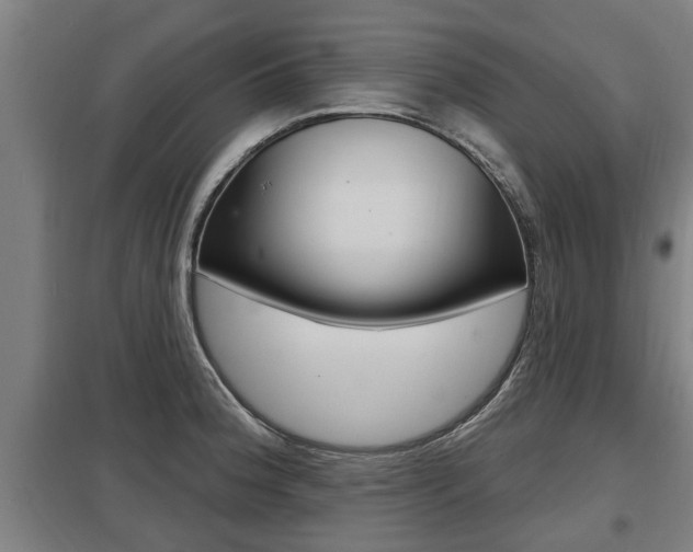 X0000098031188200803280723