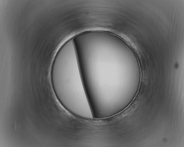 X0000098031189200803280723