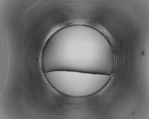 X0000098031190200803280723
