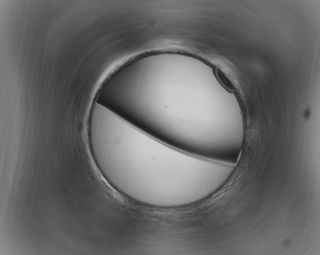 X0000098031191200803280723