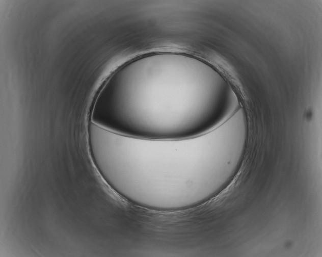 X0000098031192200803280723
