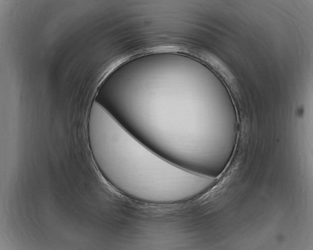 X0000098031193200803280723