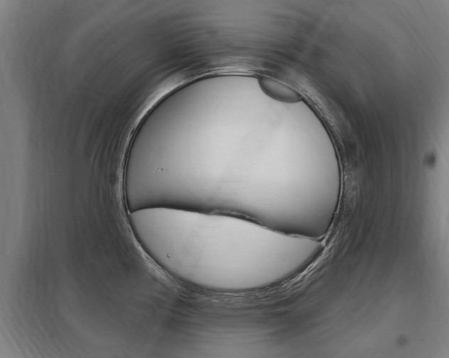 X0000098031194200803280723