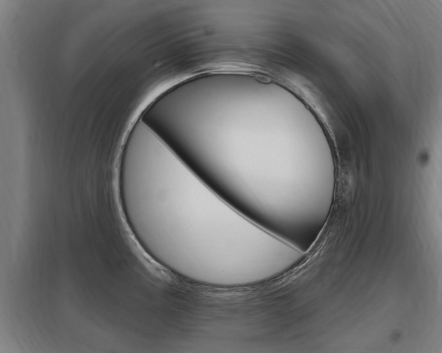 X0000098031195200803280723