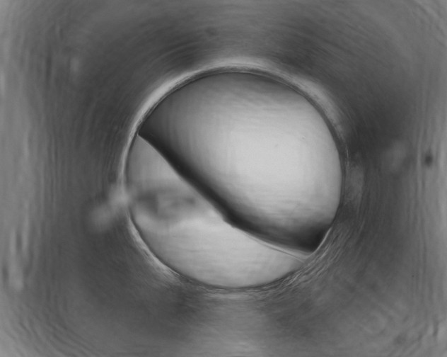X0000098031199200803280723
