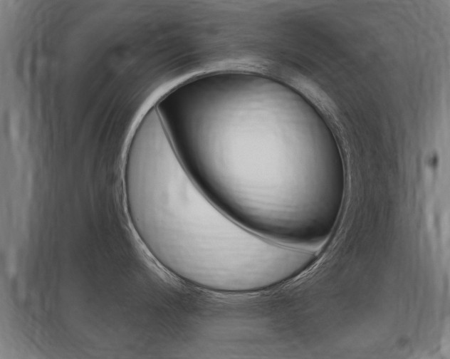 X0000098031200200803280723